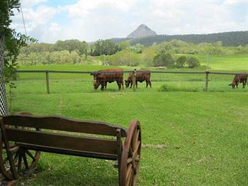 Blackwattle Farm B&B And Farm Stay - Accommodation Melbourne 1