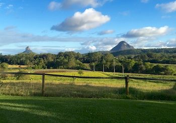 Blackwattle Farm B&B And Farm Stay - Accommodation Melbourne 7