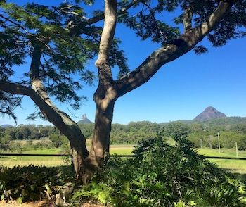 Blackwattle Farm B&B And Farm Stay - Accommodation Melbourne 9
