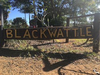 Blackwattle Farm B&B And Farm Stay - Accommodation Melbourne 10