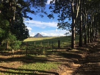 Blackwattle Farm B&B And Farm Stay - Accommodation Melbourne 12