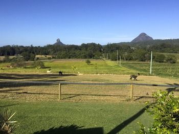 Blackwattle Farm B&B And Farm Stay - Accommodation Melbourne 29
