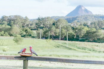 Blackwattle Farm B&B And Farm Stay - Accommodation Melbourne 42