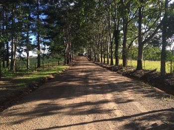 Blackwattle Farm B&B And Farm Stay - Accommodation Melbourne 46