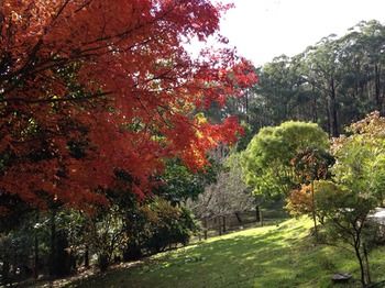 Brentwood Accommodation - Accommodation Melbourne 43
