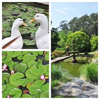 Brentwood Accommodation - Accommodation Melbourne 65