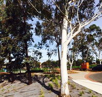 Box Hill Studios at Canterbury Gardens - Accommodation Melbourne