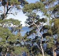 The Edgewater Bed amp Breakfast - Accommodation Melbourne
