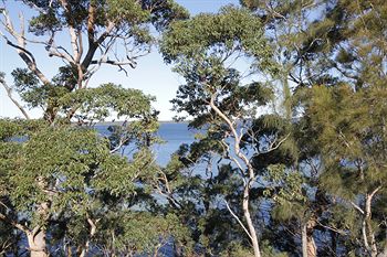 The Edgewater Bed & Breakfast - Accommodation Melbourne 0