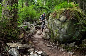 Mountain Element Retreats - Accommodation Melbourne 9