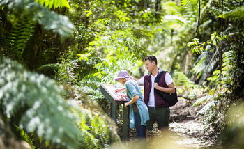 Mountain Element Retreats - Accommodation Melbourne 10