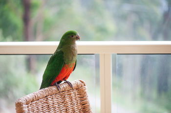 Mountain Element Retreats - Accommodation Melbourne 13