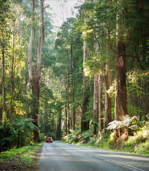 Mountain Element Retreats - Accommodation Melbourne 15