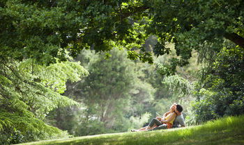Mountain Element Retreats - Accommodation Melbourne 16