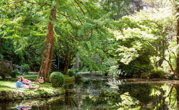 Mountain Element Retreats - Accommodation Melbourne 17