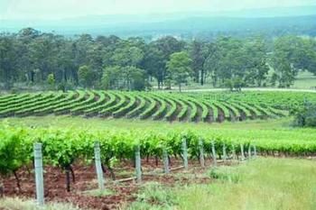 Hunter Hideaway Cottages - Accommodation Melbourne 3