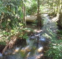Treetops Accommodation Montville - Accommodation Melbourne
