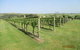 Tranquil Vale Vineyard & Cottages - thumb 8