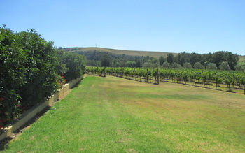 Tranquil Vale Vineyard & Cottages - Accommodation Melbourne 17
