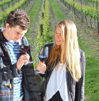 Valley Farm Vineyard Cottages - Accommodation Melbourne 0