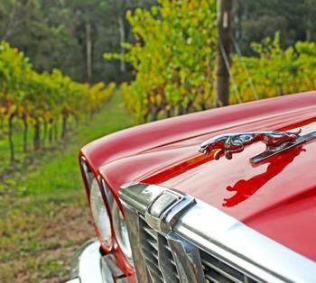 Valley Farm Vineyard Cottages - Accommodation Melbourne 1