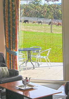 Valley Farm Vineyard Cottages - Accommodation Melbourne 9