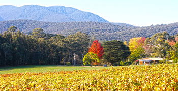 Valley Farm Vineyard Cottages - Accommodation Melbourne 11