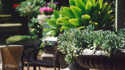 Best Western Plus The Tudor Box Hill - Accommodation Melbourne 2