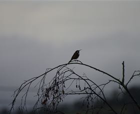 Viewenmore Villa Bed & Breakfast - Accommodation Melbourne 5