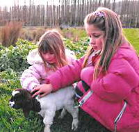 Huon Valley Caravan Park - Melbourne 4u