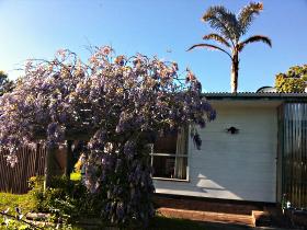North East Apartments - Accommodation Melbourne 1