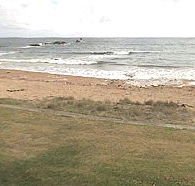 Penguin Caravan Park - Accommodation Melbourne