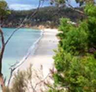 Weilangta Holiday Home - Accommodation Melbourne