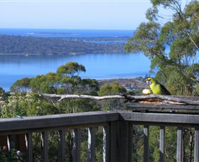 Bed In The Treetops - Accommodation Melbourne 2