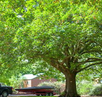 Lakes and Craters Holiday Park - Accommodation Melbourne