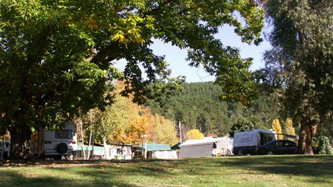 Porepunkah Pines Holiday Park - Accommodation Melbourne 5