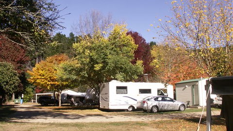 Porepunkah Pines Holiday Park - Accommodation Melbourne 6