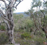 The Glen - Accommodation Melbourne