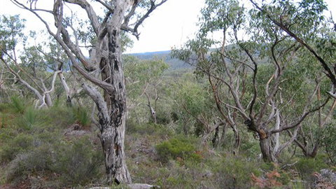 The Glen - Accommodation Melbourne 0