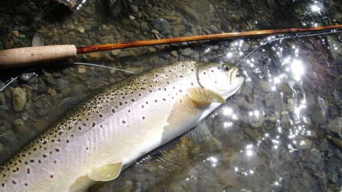 Riverview Lodge - Melbourne 4u 3