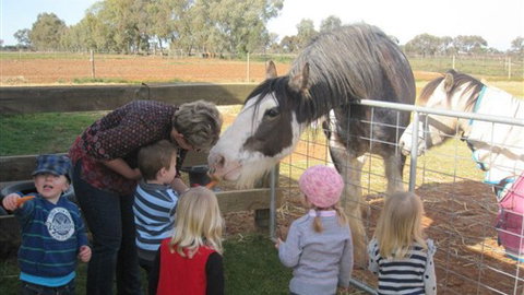 Cabarita Lodge - Accommodation Melbourne 4