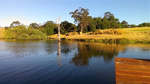 Cygnet Park Country Retreat - Accommodation Melbourne 4
