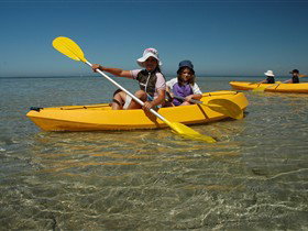 Ceduna Shelly Beach Caravan Park And Beachfront Villas - Accommodation Melbourne 3