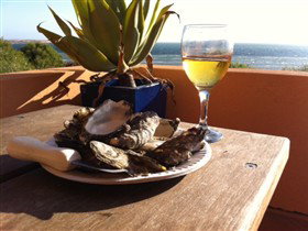 Ceduna Shelly Beach Caravan Park And Beachfront Villas - Accommodation Melbourne 4