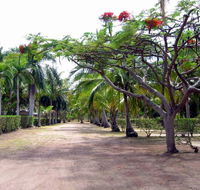 Alva Beach Tourist Park - Melbourne 4u