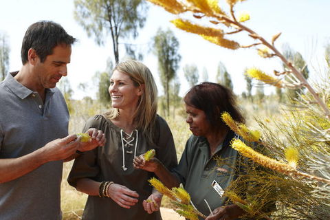 Ayers Rock Campground - Melbourne 4u 2