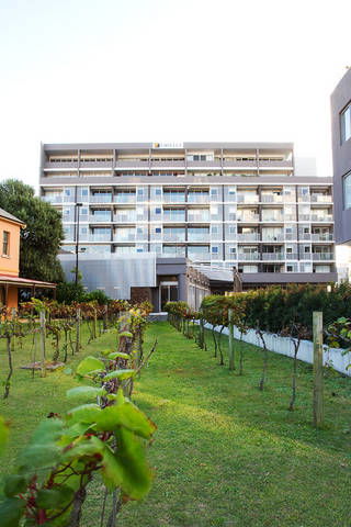 B7 Honeysuckle Apartments - Accommodation Melbourne 1