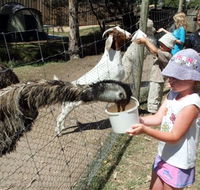 BIG4 Bairnsdale Holiday Park - Accommodation Melbourne