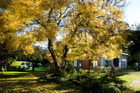 Buffalo Motel And Country Retreat - Accommodation Melbourne 5