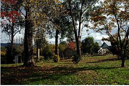 Buffalo Motel And Country Retreat - Accommodation Melbourne 8